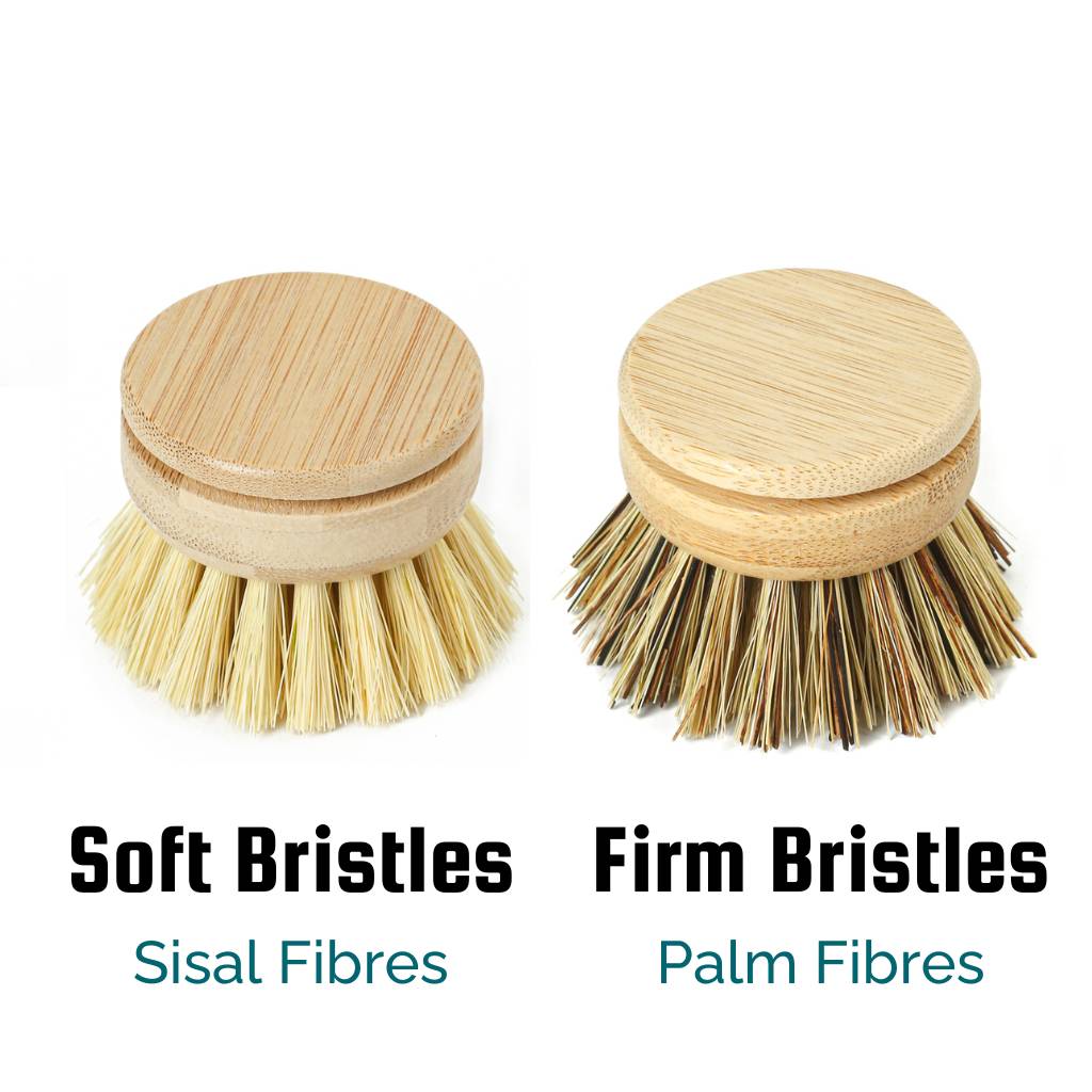 Replacement Head for Reusable Bamboo Dish Brush *Pre-Order*